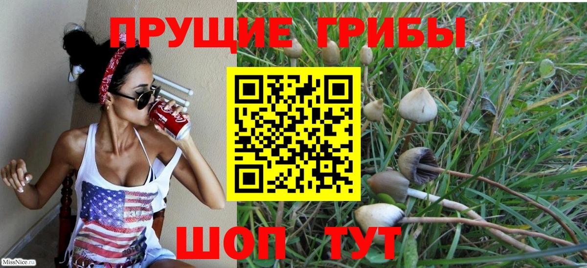 Псилоцибиновые грибы Psilocybine cubensis  Вход с VPN  Дедовск 