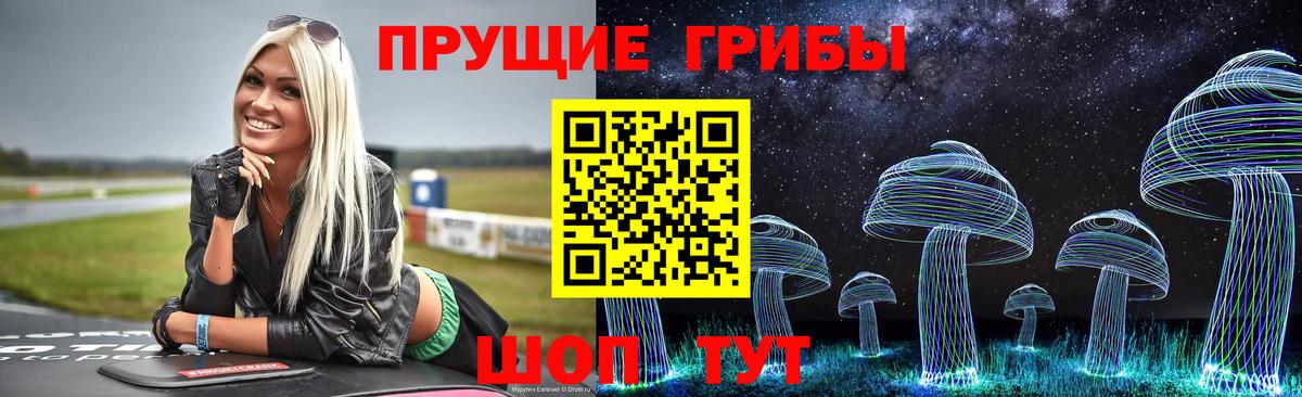 Псилоцибиновые грибы GOLDEN TEACHER Дедовск